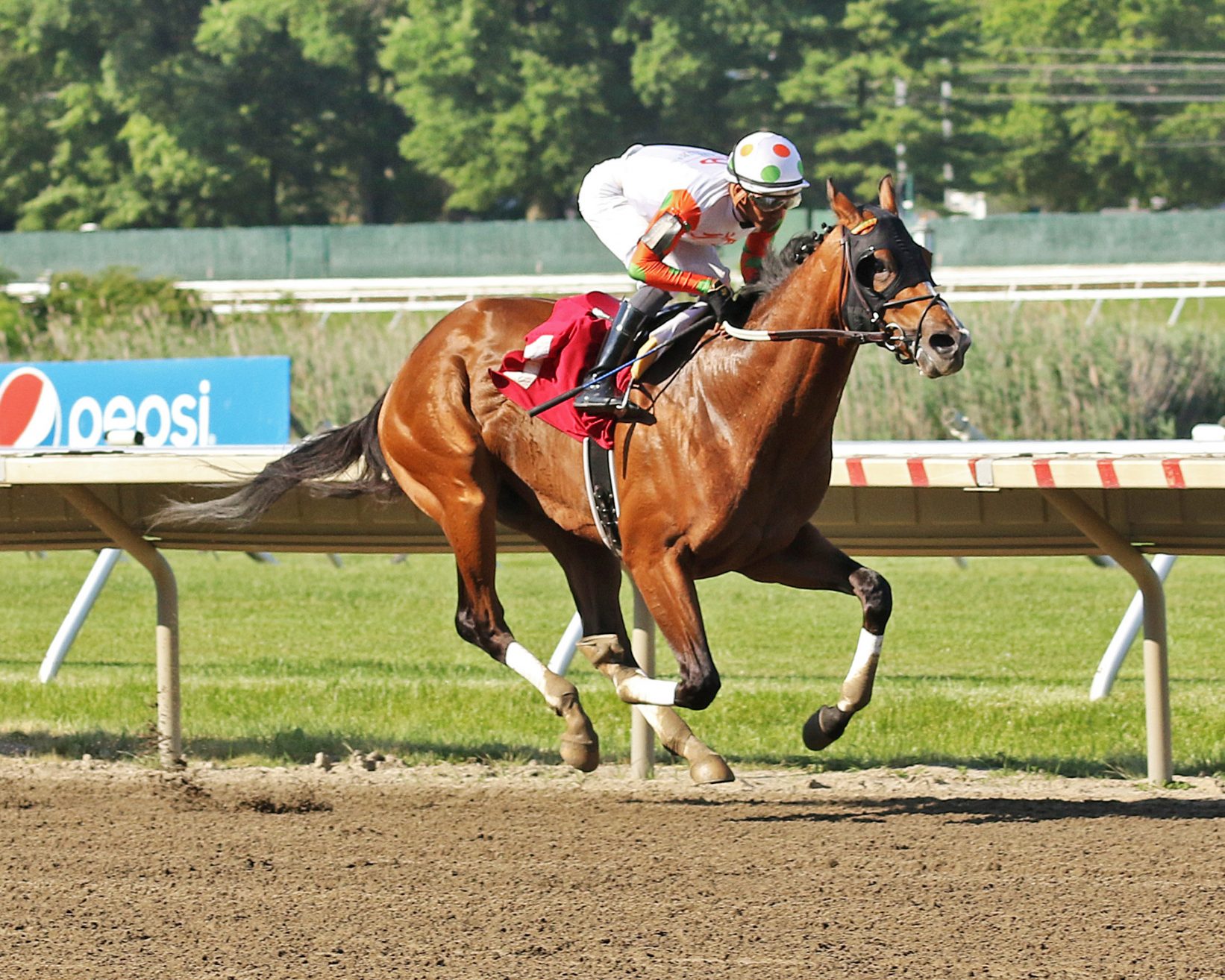 Haskell Monmouth Park