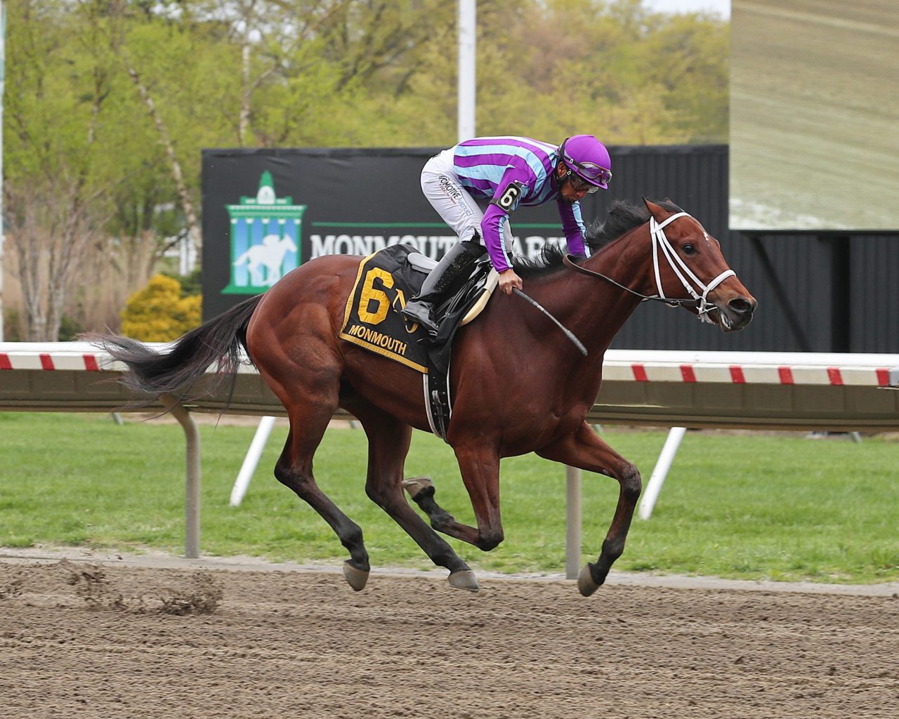 Haskell Monmouth Park