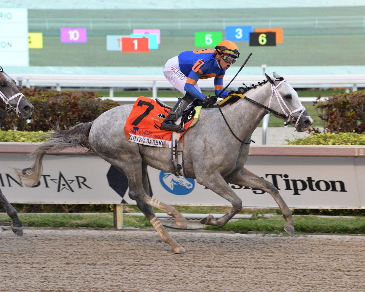 Haskell Monmouth Park