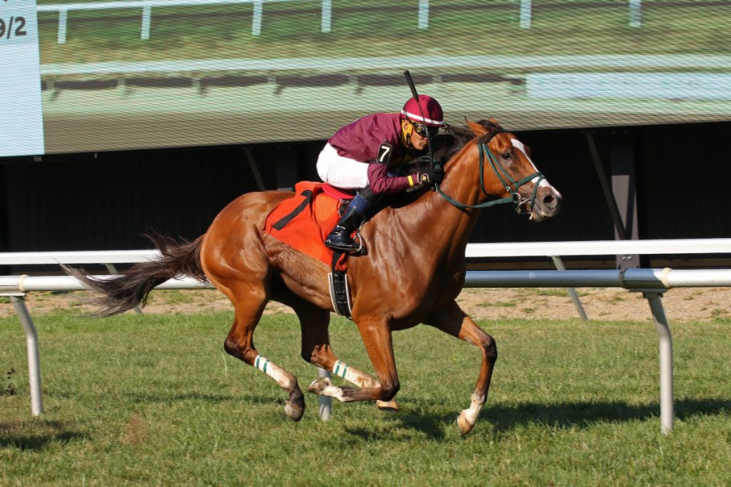 Comedic Timing Wins Monday's Featured Allowance Race As Mid-Atlantic ...