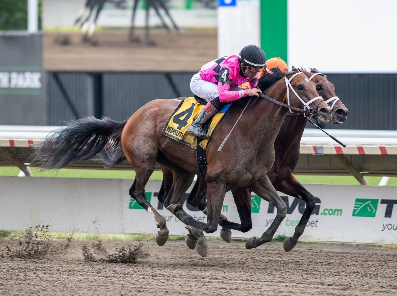 Haskell Preview Day & Beach Towel Giveaway - Monmouth Park